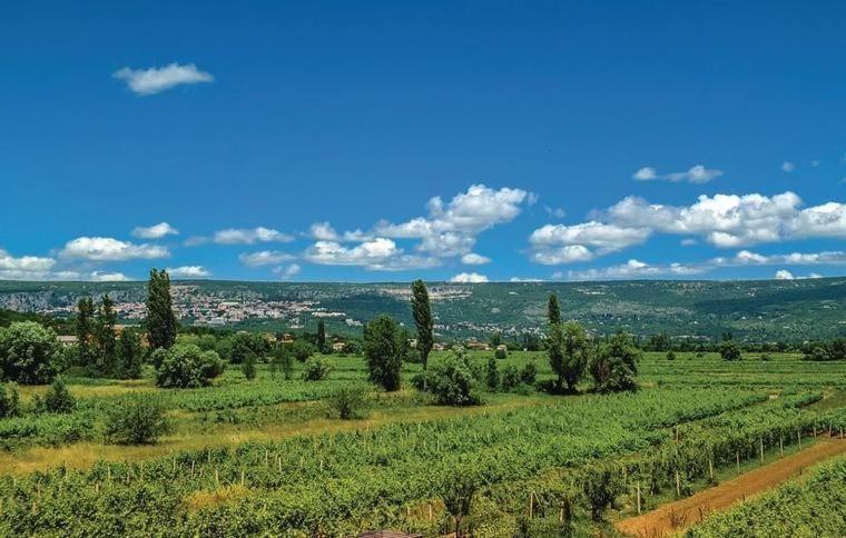 Villa Olea Zmijavci Zewnętrze zdjęcie